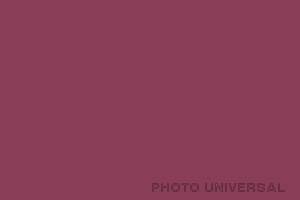 HINTERGRUND 2,75X11 M. 21562 ROT-VIOLETT